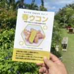 下地清吉 春ウコン 沖縄長生薬草本社