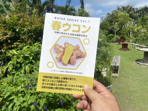 下地清吉 春ウコン 沖縄長生薬草本社